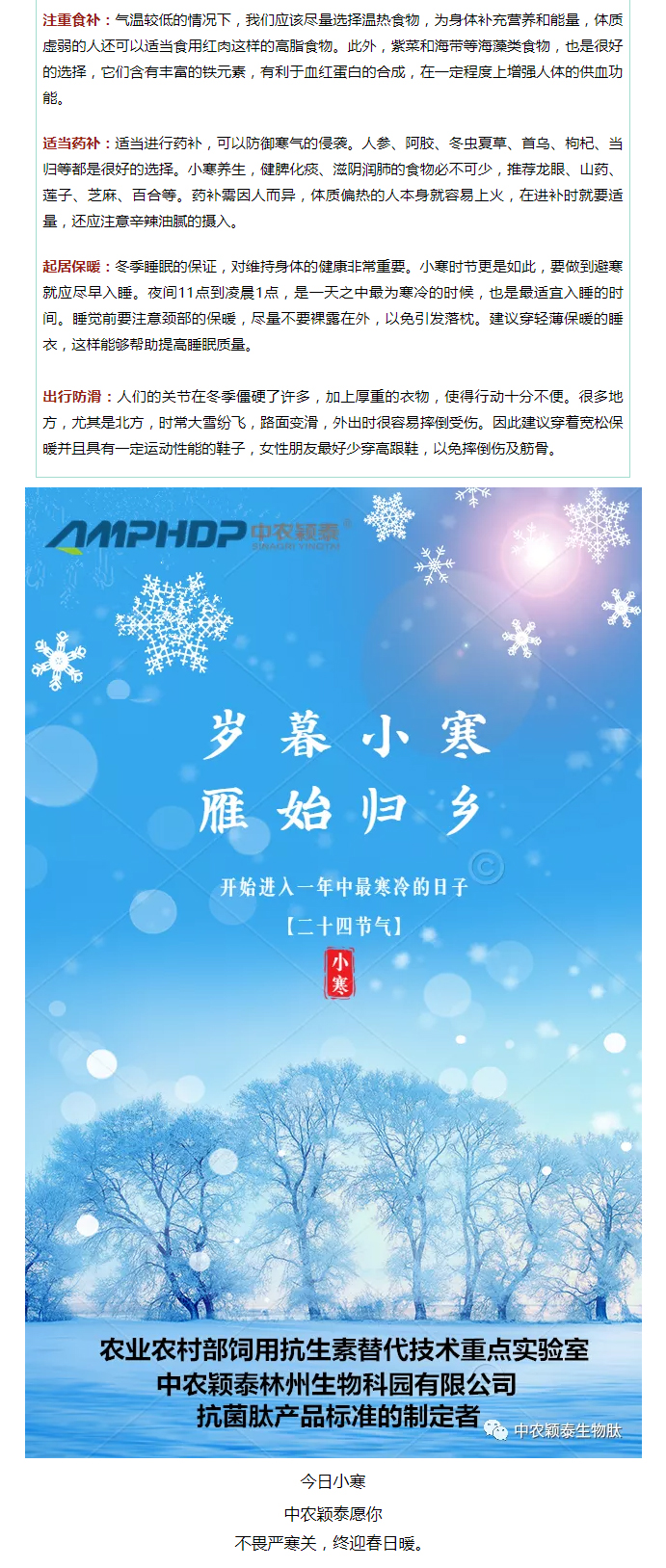 2022年（第2期）：小寒今日至，年味已冒頭_04