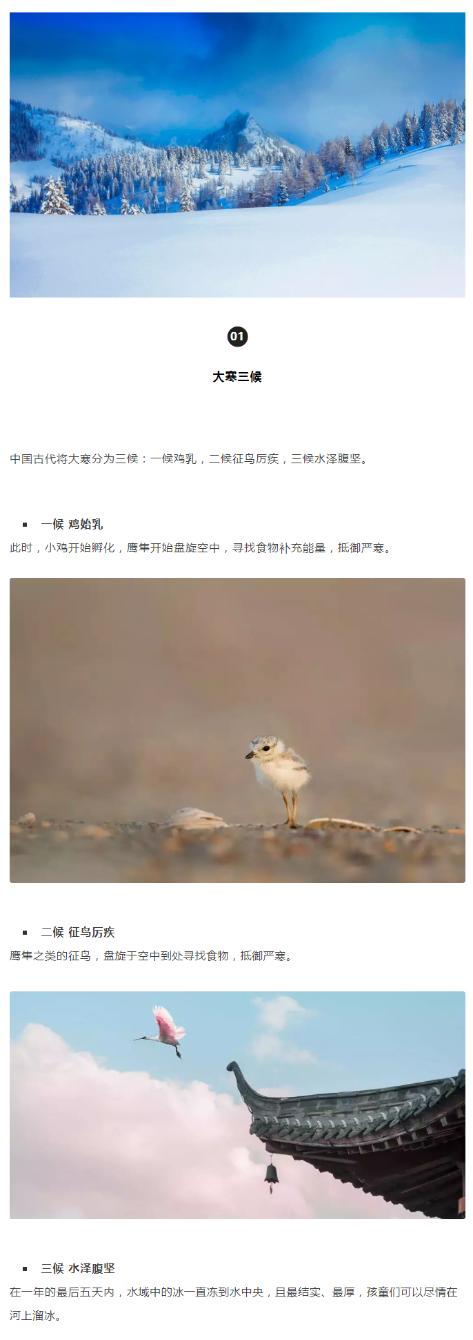 2022年（第5期）：大寒：愿您安暖幸福，歲歲平安_02