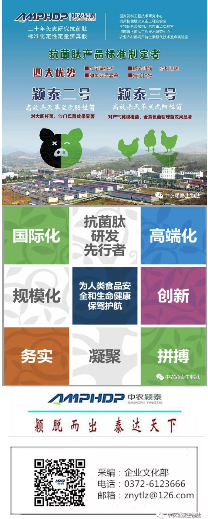 2022年（第5期）：大寒：愿您安暖幸福，歲歲平安_08